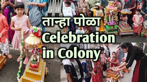tanha pola nandi bail|Tanha Polla Festival in Nagpur नागपुरात तान्हा पोळ्याच्या .